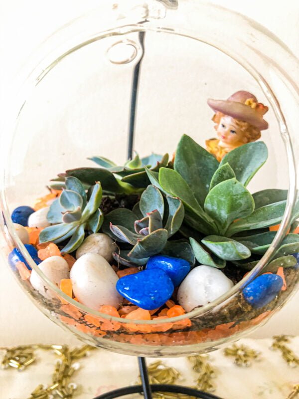 Terrarium bowl with plants - Image 2